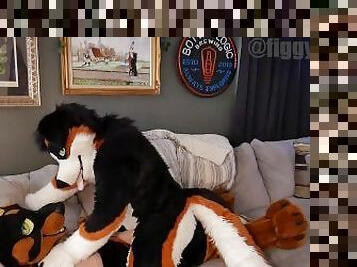 Horny fursuiter frots and teases with his paws